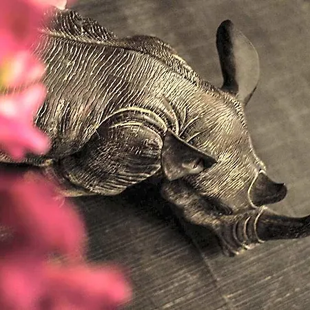 فندق Dom - Preferred &