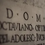 Dom - Preferred &